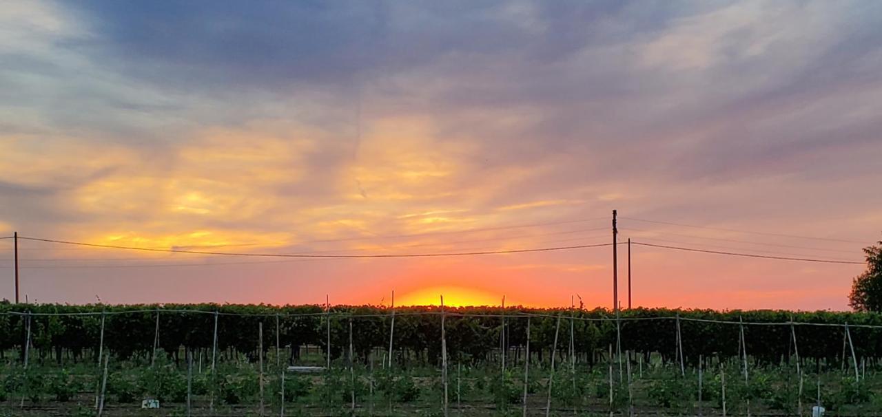 Agriturismo La Lenticchia Фратта-Терме Экстерьер фото